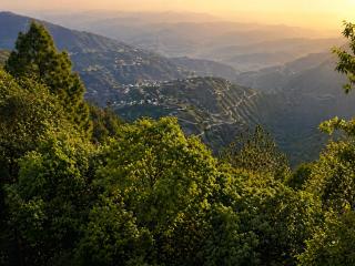 Tree Heaven Resort - 6