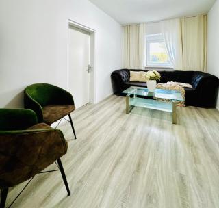 Cozy 2BR Apt & LR with Balcony Near Museum Gugging - 6