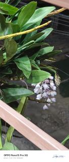 A THÁM homestay - 2