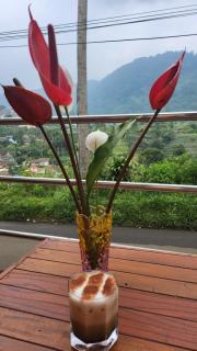 The Green County Homestay - 1
