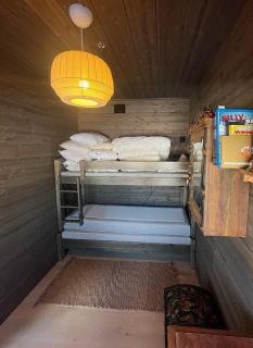 Apartment With Ski Inout By Gondola In Hafjell - 1
