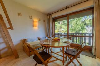The Brevent Nest ski in/ski out - Happy Rentals - 5