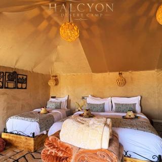 Halcyon Luxury Camp - 9