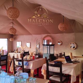 Halcyon Luxury Camp - 3