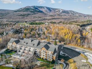 Swimming Pool & Mountain - Condos des Neiges - 0