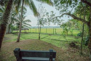 Airport Serenity Villa - Near Bandaranaike Airport - 8
