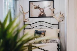 Nature & Wildlife Escape - Alfred Shack - 6