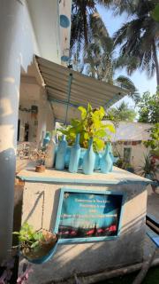 Vllk Resort Near Arambol Beach North Goa - 4