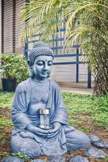 Emeraude tropicale - 4