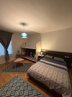 Grande Maison-15 pers-Proche Gare - 4