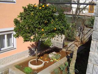Apartments in Rabac 51833 - 5