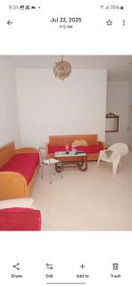 Carthage Translation Homestay - 5