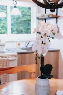 Nature Escape and Miller Zoo - Buddy Shack - 4