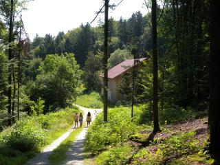 Grillnhäusl - Ruheoase in Alleinlage mit Sauna, Erlebnisstadl & Rehen vor der Haustür - 3