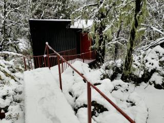 M Refugio 6 Hualle I 6 personas I Tinaja I Bosque nativo - 9