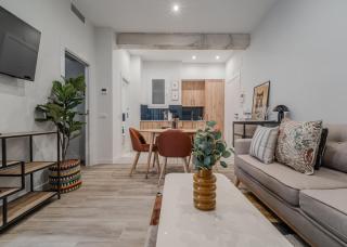 Modern Cozy -2Bdrs 1Bath -Plaza de Castilla - 2