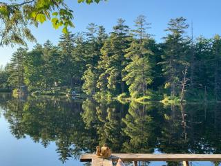 Unique Waterside Cottage - White Mountains, NH - 3