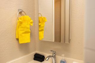 Honey 1Bed 1Bath near Downtown & Houston Heights - Apartment - Apartment - 3
