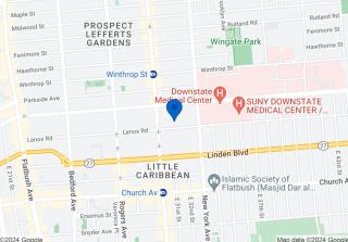 1BR Flatbush Gym, sauna, Rooftop Monthly - 3