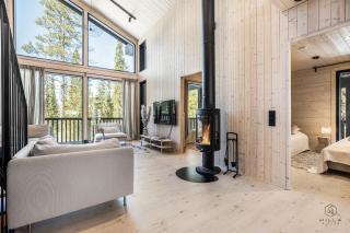 Polar Blaze Villa by Hilla Villas - 2