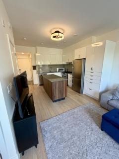 Bright and Convenient Renfrew Collingwood 2 bed 2 bath - 3