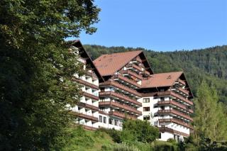 Panorama Apartment Bad Goisern - 1