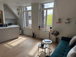 Appartement dans une Villa deauvillaise avec grand jardin, face à hôtel Royal, entièrement rénové, vue Royal et vue mer, 4 couchages - 6