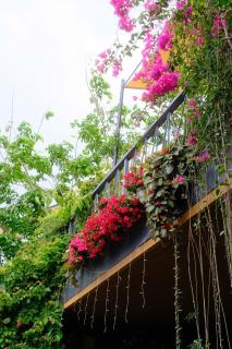 Vanilla Ho Tram Homestay - 7