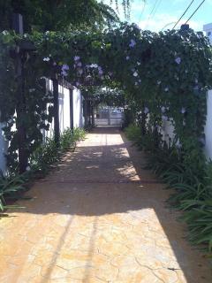 Apartamento con acceso a la playa justo atrás-Áreas Sociales Con Piscina,Jacuzzi BBQ,Gazebos,Salones - 7