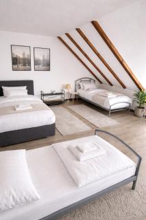 Large 120 sq m Apartment 4 Bedrooms Near Frankfurt Kelkheim - 2