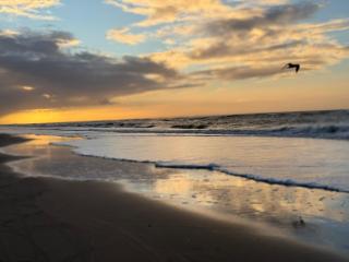 De Strandmelde, vakantieappartement met groot terras en gratis parking nabij zee - 7