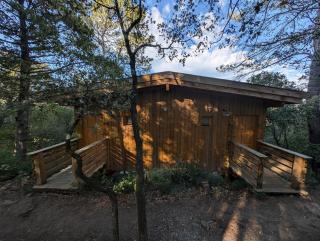 Les Cabanes Dans Les Bois Logis Hôtel - 3