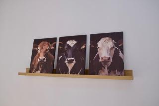 Rouen - La Normande Studio - 2