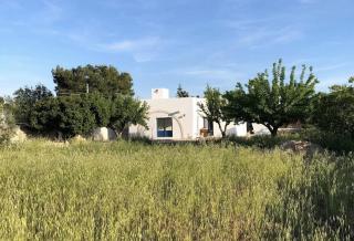 Villa Don Mimmo - 0