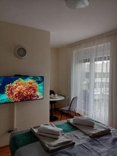 Studio 1212 - Belgrad - 5