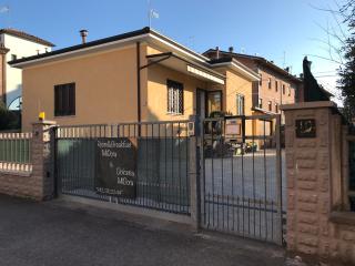 R&B MiDora Montale - 8