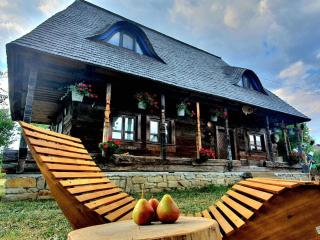 Maramureș Traditional House - 1