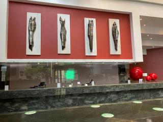 Holiday Inn Mexico Dali Airport by IHG - 0