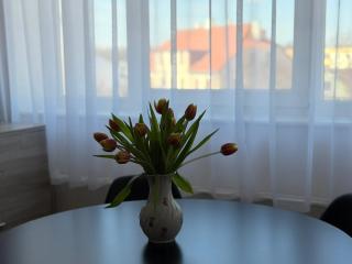 Kesk Central Apartment - 6