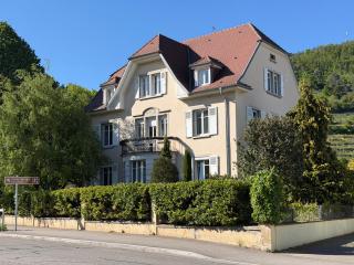 Maison des Vignes - 0