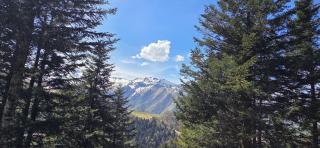 Chalet Fontaine 54 - 5