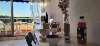 Les Jardins 2 Port de Plaisance et piscine 2 - 4