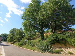 le moulin - 6
