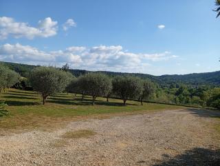 le moulin - 7