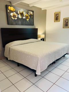 Hotel Casa Barcelona San Luis Potosí - 7