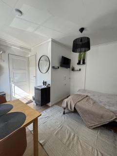 Ally's Urban Cozy Studio Juhkentali 42 Tallinn near city centre airport next to bus station - 6