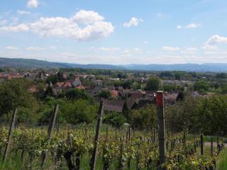 Weinbergschnecke Ferienwohnung - 2