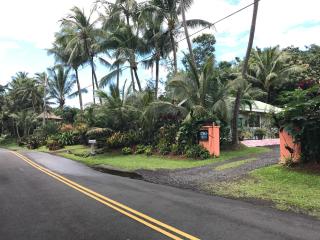 Whale House at Kehena Beach - Pahoa - 4