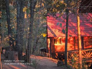 Cabaña en el Bosque de San José del Pacífico 4 - 4
