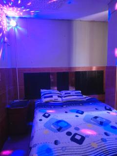 Hostal EL BOSQUE - 4
